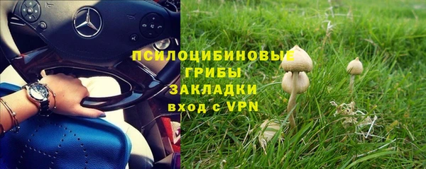 дурь Богородск