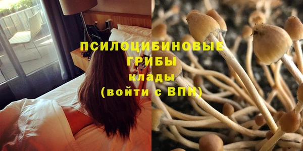 метамфетамин Богородицк