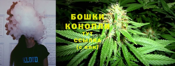 дурь Богородск
