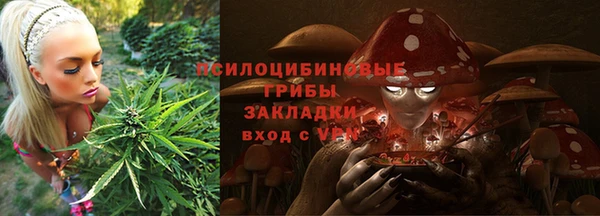 дурь Богородск